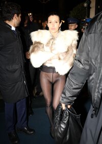 biancacensorisheerpantyhoseparis229.jpg